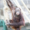 7 января Калининградский зоопарк приглашает на экскурсию из цикла «Другой зоопарк»