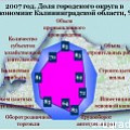 Доля городского округа в экономике Калининградской области в 2007 году, %