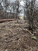 photo_2026-04-04 09.42.56.jpeg