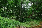 565A9724.JPG