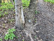 IMG_2306.JPG