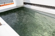 DSC_7431.jpg