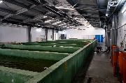 DSC_7292.jpg