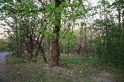 565A8802.JPG