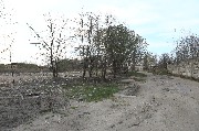 565A8729.JPG