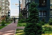 P1080818.jpg
