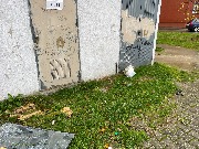 image-05-11-23-06-56-5