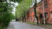 IMG_3519.jpg