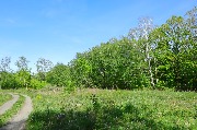 565A3904.JPG