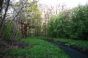 565A8807.JPG