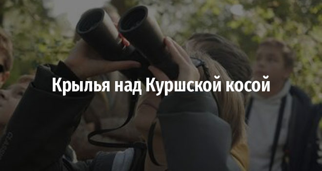 Крылья над Куршской косой (0+)