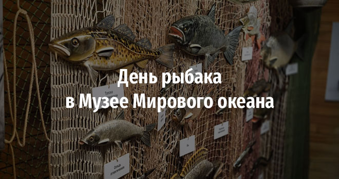 День рыбака в Музее Мирового океана (0+)