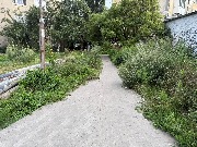 image-01-08-25-05-45-1