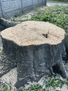IMG_6995.jpeg