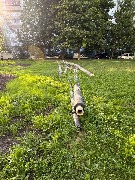 image-14-08-25-08-05-19