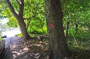 565A9344-1.jpg