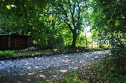 565A9343-1.jpg