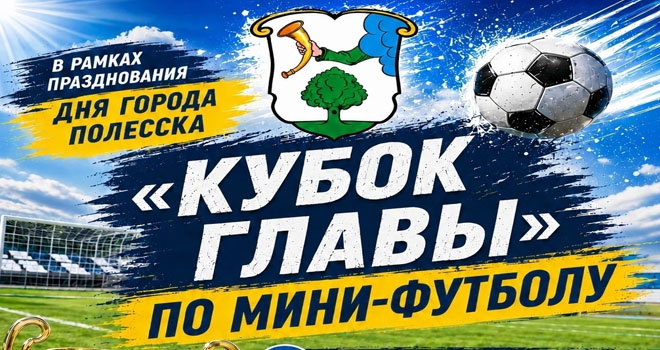 Кубок Главы по мини-футболу (6+)