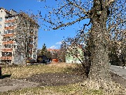 IMG_1985 беломорская участок.jpg