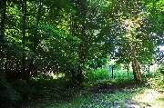 565A9341-1.jpg