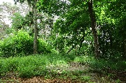 565A9745.JPG