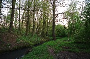 565A8838.JPG