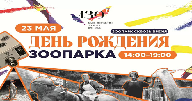 День рождения зоопарка (0+)