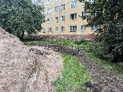 image-21-07-25-05-34-7
