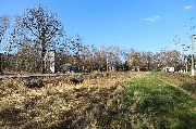 565A8461.JPG