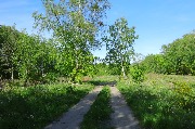 565A3906.JPG