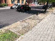 IMG_0682.JPG
