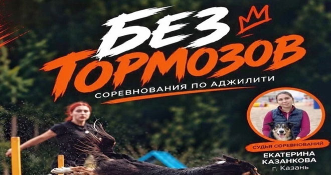 Без тормозов (0+)