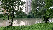 IMG_4621 ялтинский пруд.JPG