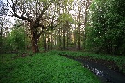 565A8810.JPG