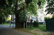 565A0080.JPG
