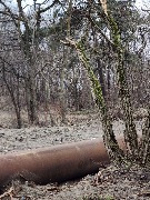 photo_2026-04-04 09.42.49.jpeg