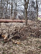 photo_2026-04-04 09.42.58.jpeg