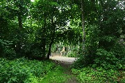565A9728.JPG
