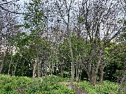 IMG_2295.JPG