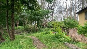 IMG_4177.jpg