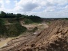 Городские власти не смогли защитить 94 га леса в поселке Космодемьянского от силикатного завода