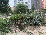 image-08-07-25-07-54-1