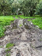 image-14-08-25-08-05-6