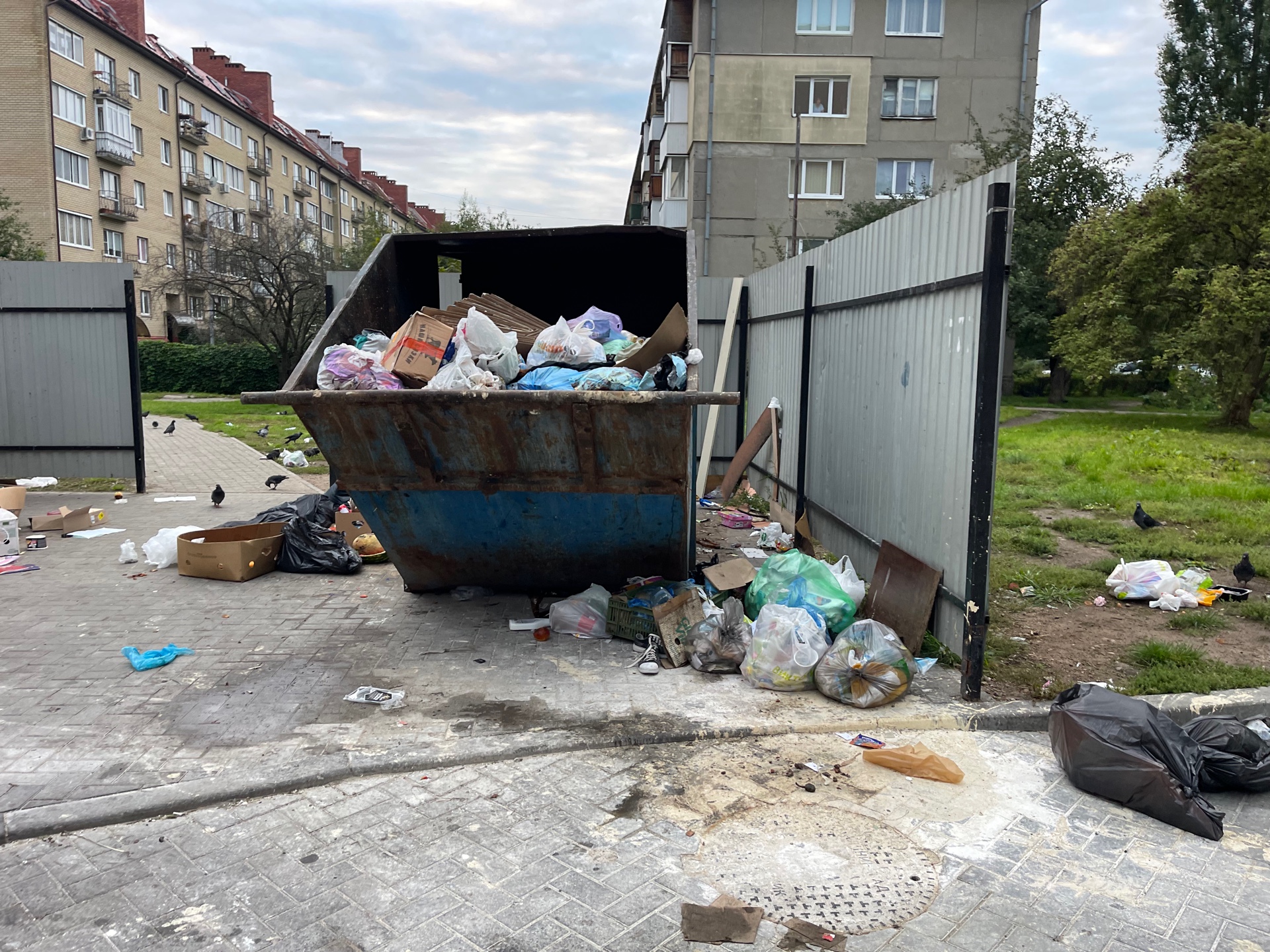 Ничего не меняется (фото, видео) | РуГрад.еу — Калининградский деловой  портал