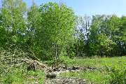 2025-05-25_16-58-53.png