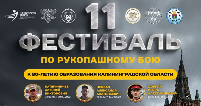 Фестиваль по рукопашному бою (6+)