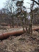 photo_2026-04-04 09.42.51.jpeg