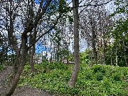 IMG_2296.JPG