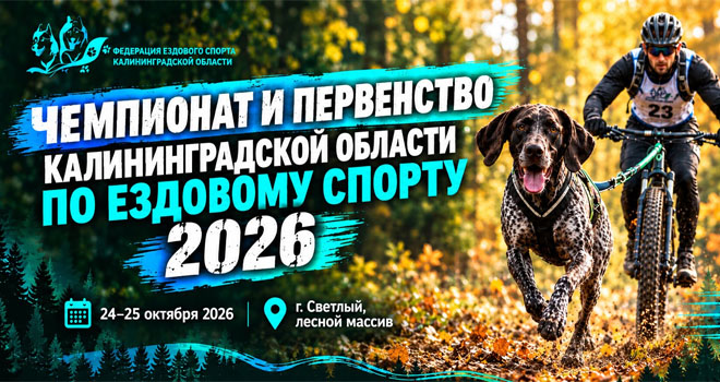 Чемпионат и первенство области по ездовому спорту (6+)