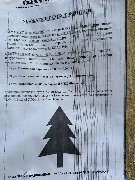 image-25-12-25-08-46-3